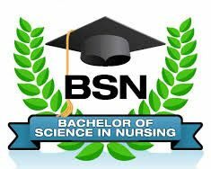 Bachelors in nursing science with hat and leaves